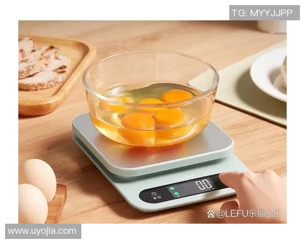 食物能量指南：掌握卡路里，健康生活